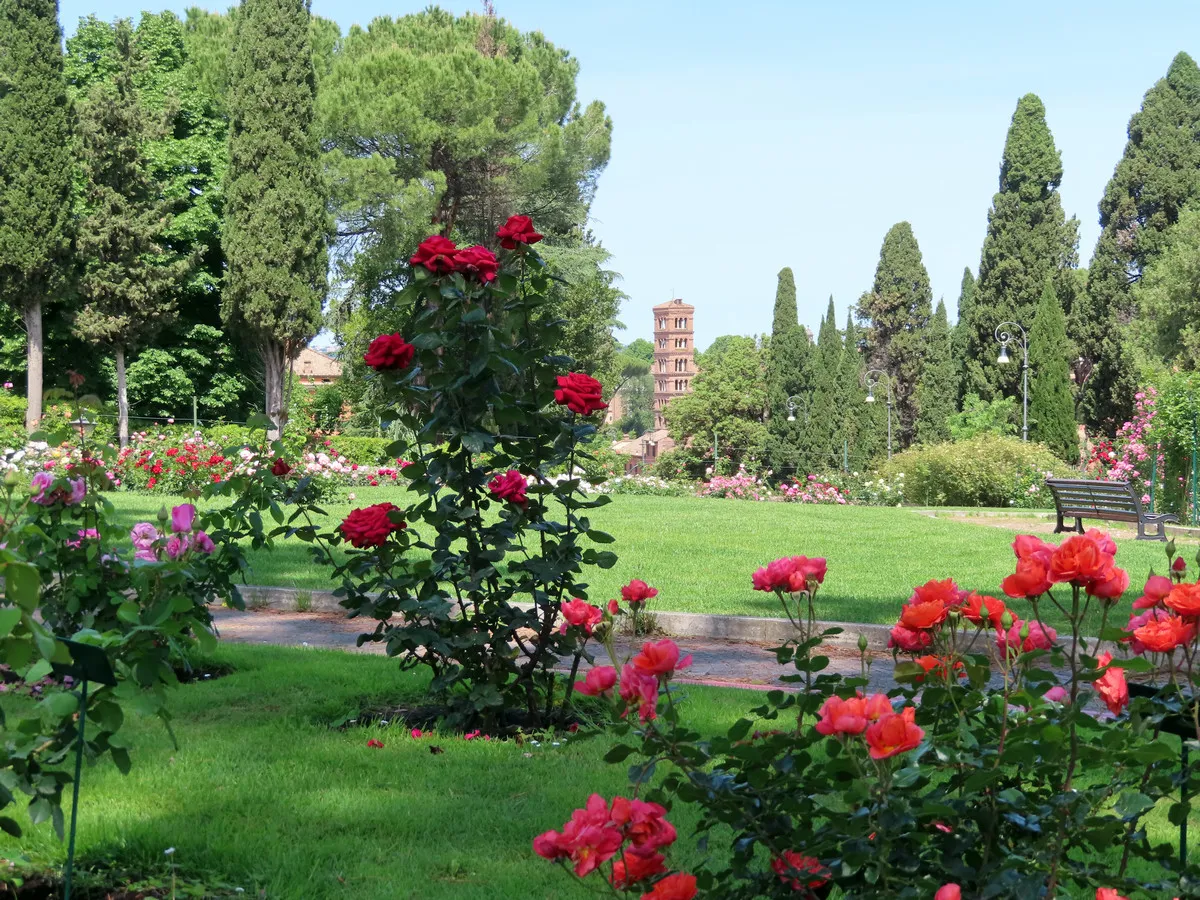 Jardim de rosas municipal