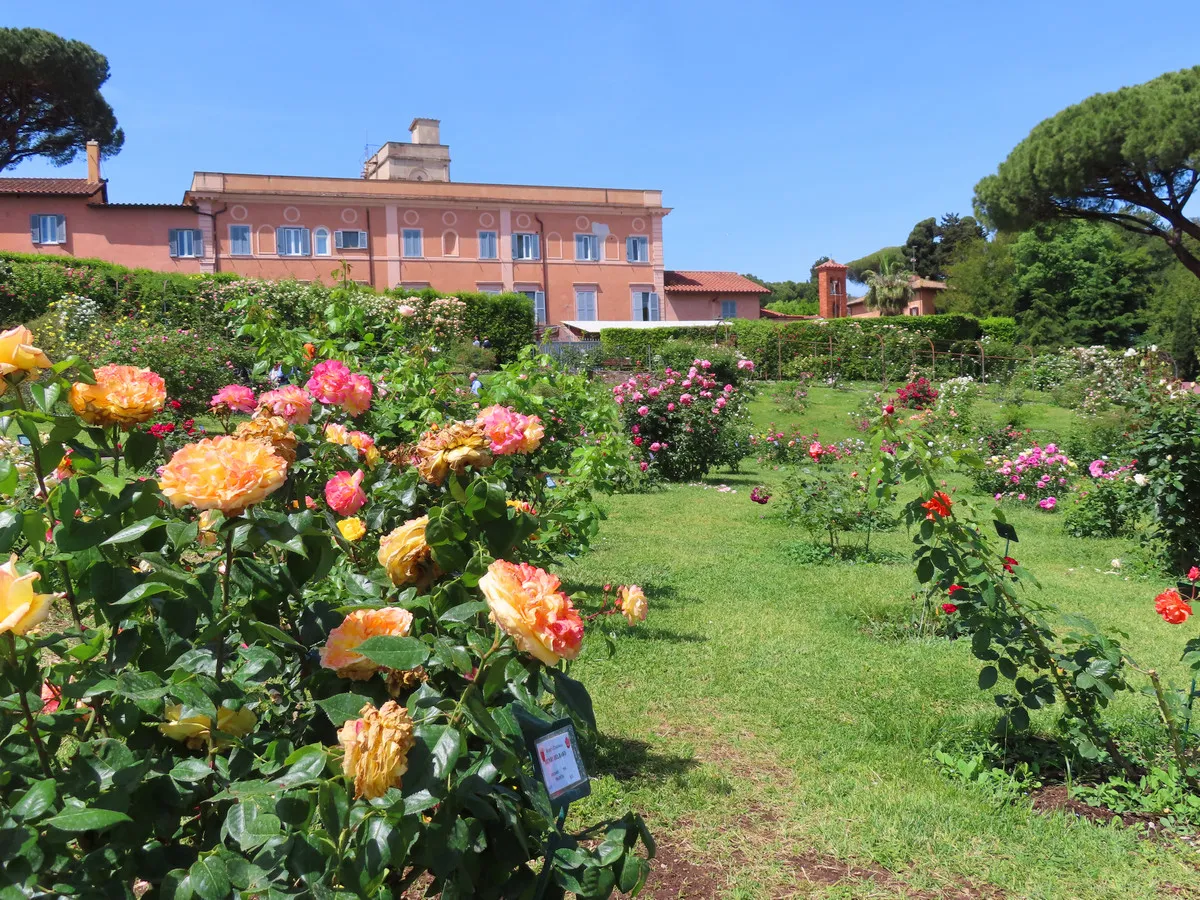Jardim de rosas municipal