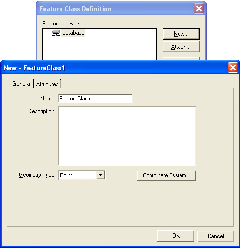 feature class definition