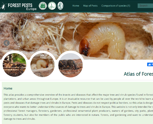 Atlas of Forest Pests