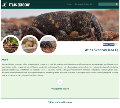 Atlas škodcov lesa