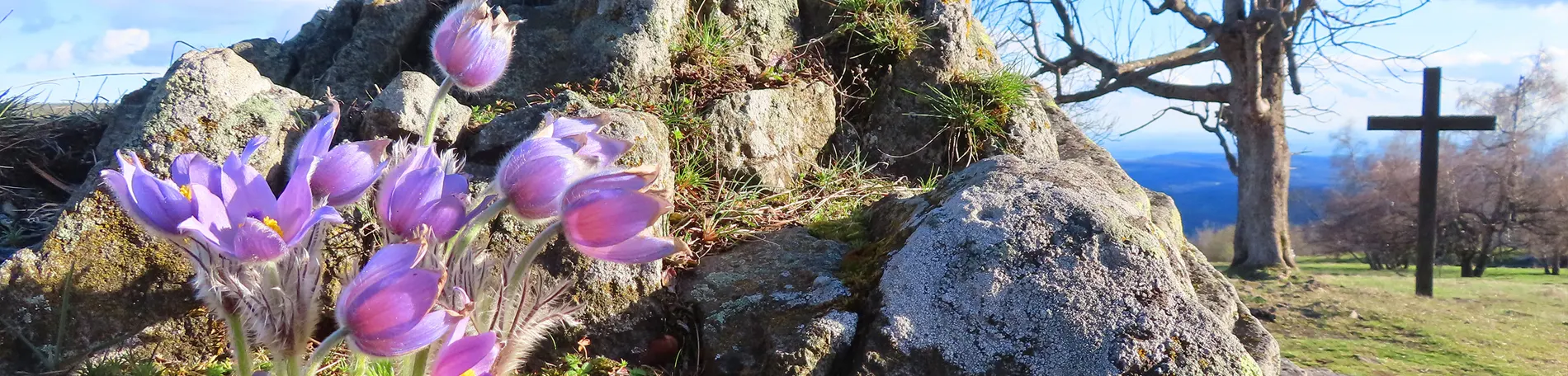 Banská Štiavnica