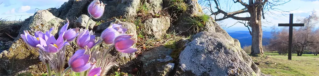 Banská Štiavnica