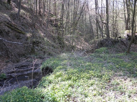 Antolský rybník - prerušená hrádza