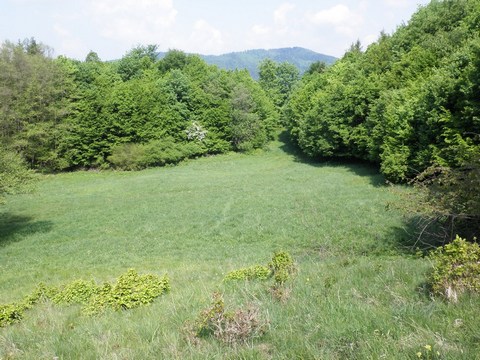 Celkový pohľad