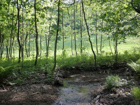 Prítok - v pozadí dno