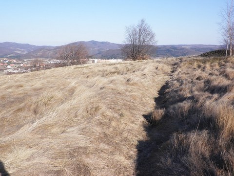 Časť vodného jarku