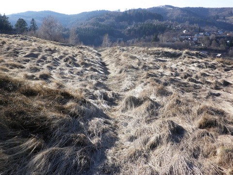 Vodný jarok, v pozadí tajch nad Žigmundšachtou