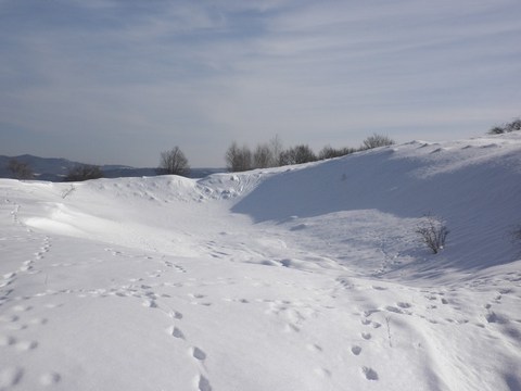 Tajch nad Žigmundšachtou