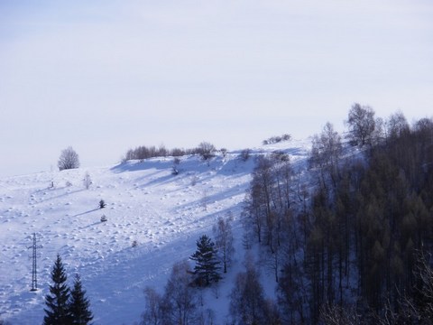 Tajch nad Žigmundšachtou