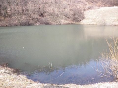 Tajch Krechsengrund