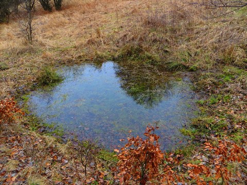 Malé tajchy pri Banskom vrchu - Kerlingu
