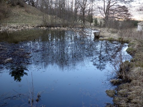 Malý Goldfusský a časť hrádze