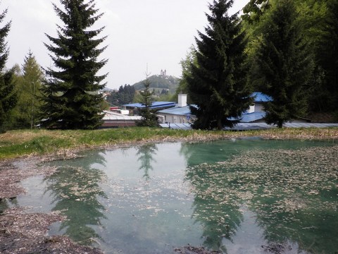 Dolný Michalštôlniansky tajch
