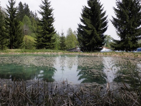 Dolný Michalštôlniansky tajch