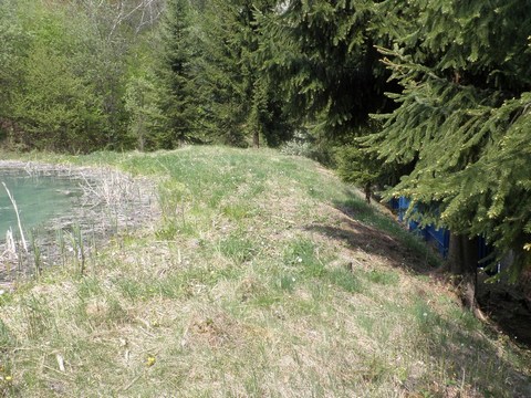 Dolný Michalštôlniansky tajch