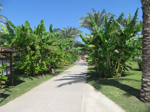 IC Green Palace