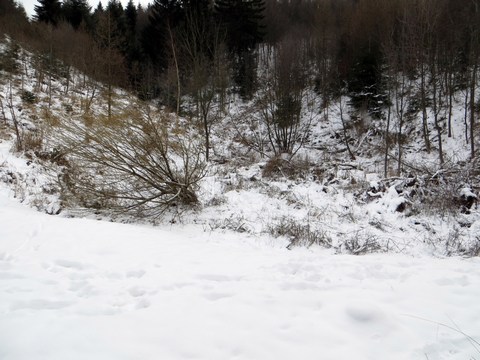 Priestor nádrže