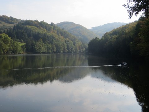 Terénny výskum – Halčiansky tajch
