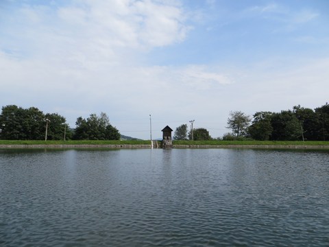 Terénny výskum - tajch Vindšachta