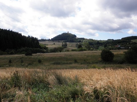 Veľký Goldfusský tajch