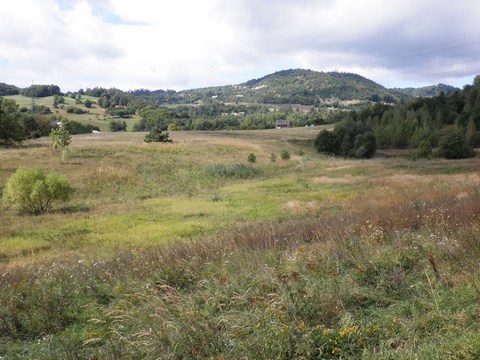 Veľký Goldfusský tajch