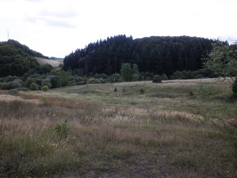Veľký Goldfusský tajch