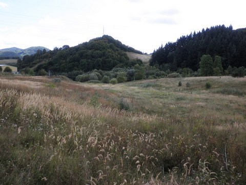 Veľký Goldfusský tajch