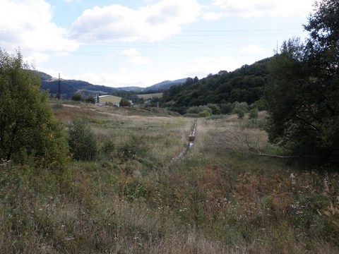 Veľký Goldfusský tajch