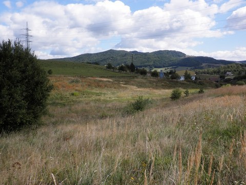 Veľký Goldfusský tajch