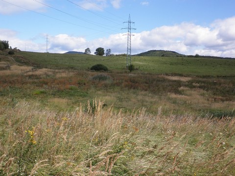 Veľký Goldfusský tajch