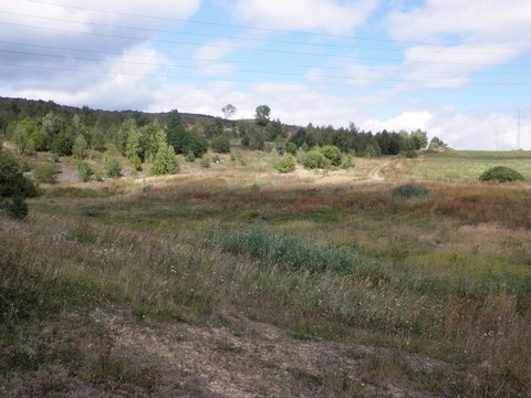 Veľký Goldfusský tajch