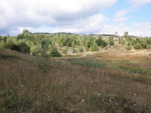Veľký Goldfusský tajch