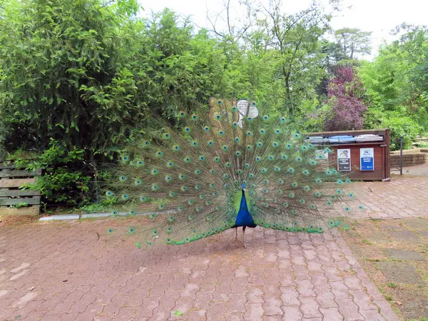 Bioparco di Roma