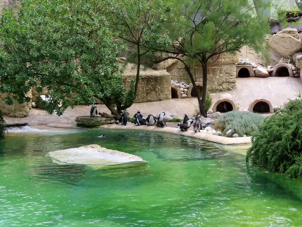Bioparco di Roma