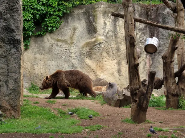 Bioparco di Roma